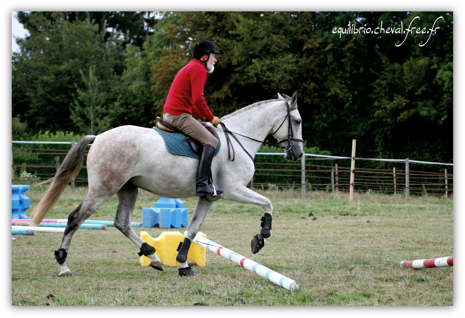 Equilibrio - septembre 2019- Stage barres au sol, cavalettis, obstacle avec Tammy weal - DINO IX, PRE et Dominique