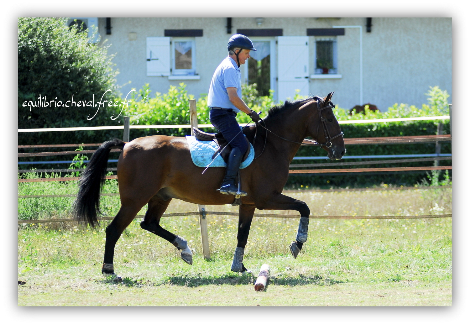 Equilibrio - septembre 2019- Stage barres au sol, cavalettis, obstacle avec Tammy weal - DON DIEGO DE MASSA, PSL et Roland