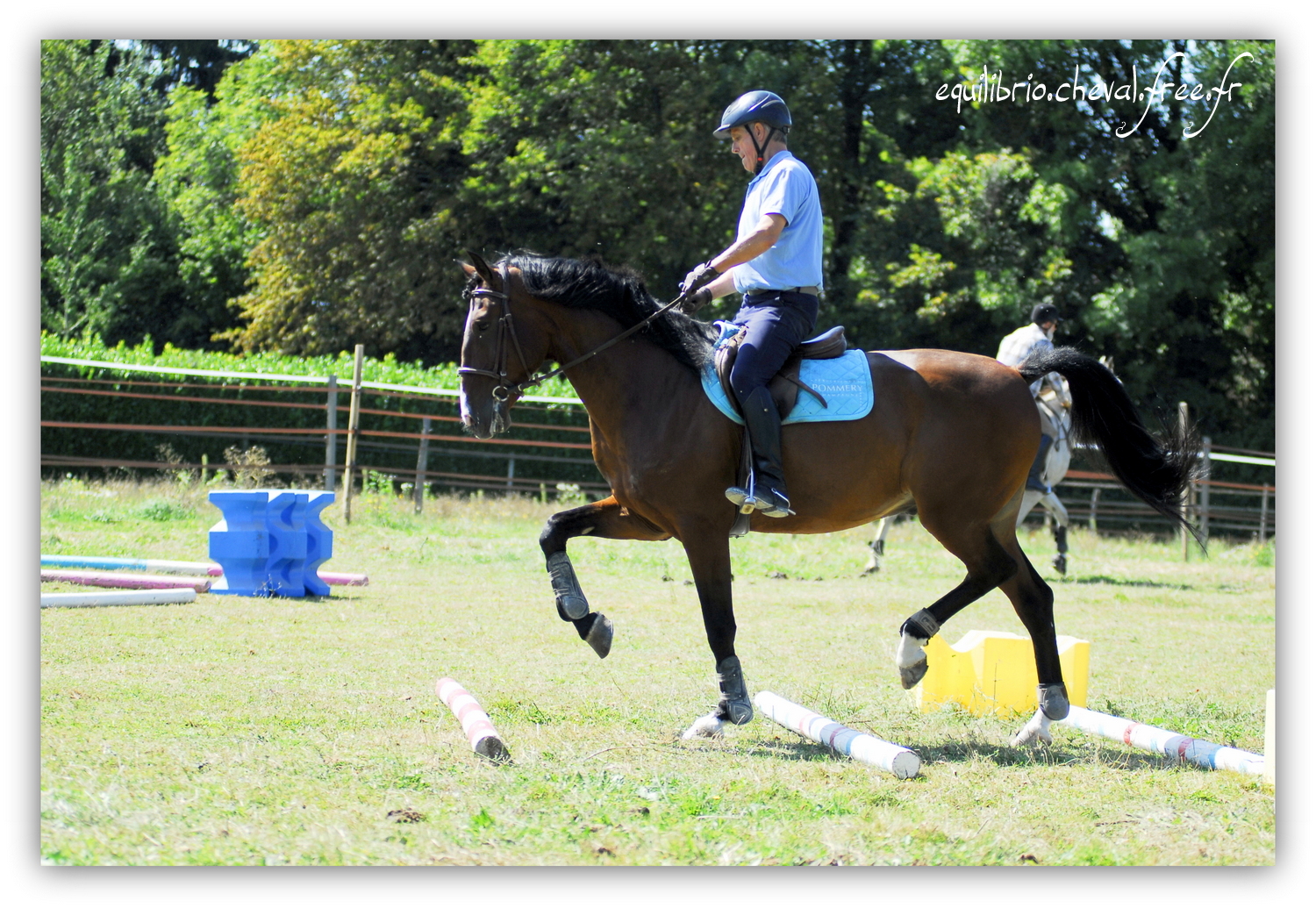 Equilibrio - septembre 2019- Stage barres au sol, cavalettis, obstacle avec Tammy weal - DON DIEGO DE MASSA, PSL et Roland