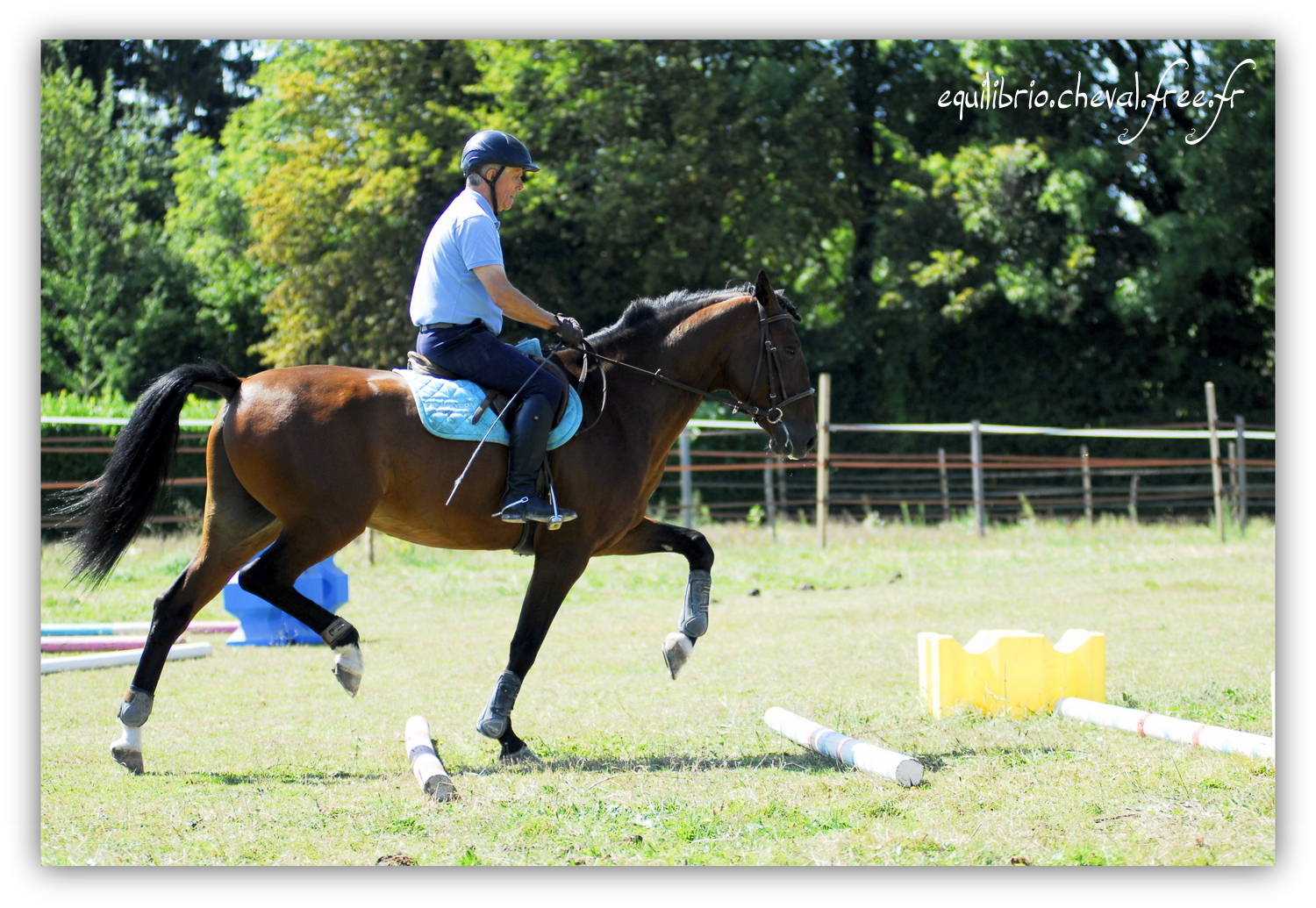 Equilibrio - septembre 2019- Stage barres au sol, cavalettis, obstacle avec Tammy weal - DON DIEGO DE MASSA, PSL et Roland