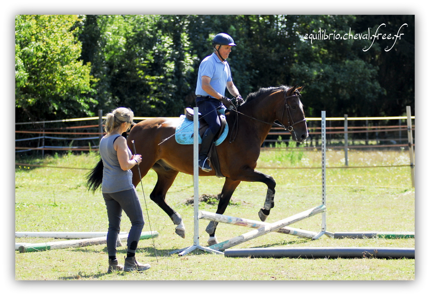 Equilibrio - septembre 2019- Stage barres au sol, cavalettis, obstacle avec Tammy weal - DON DIEGO DE MASSA, PSL et Roland