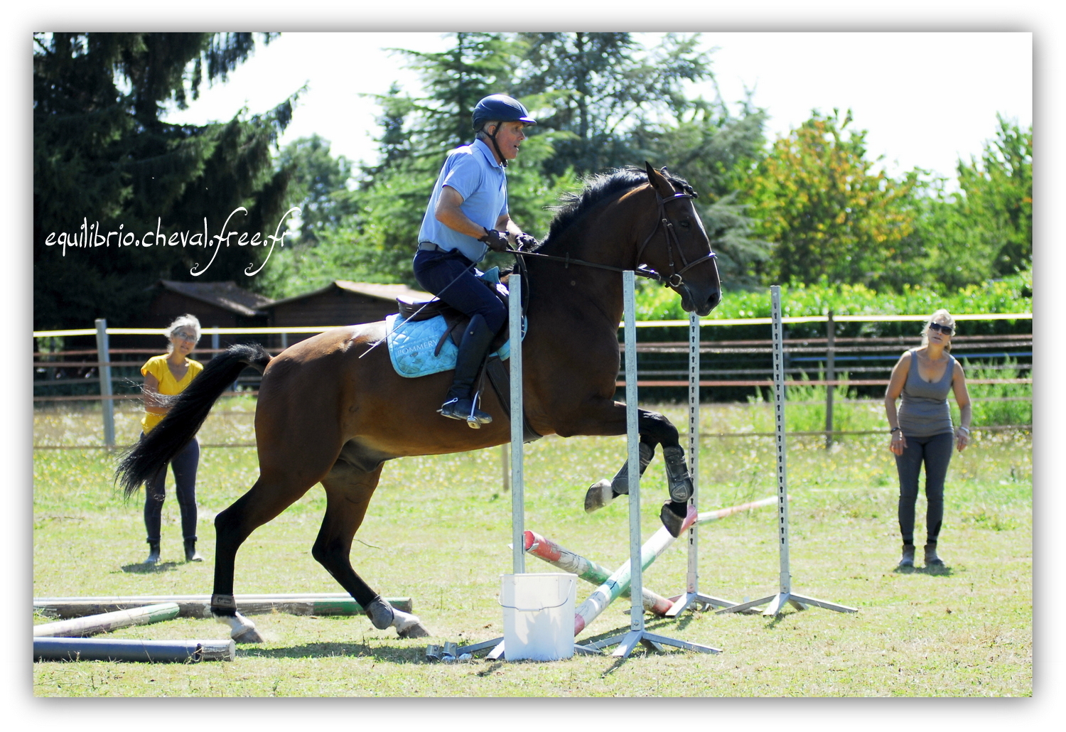 Equilibrio - septembre 2019- Stage barres au sol, cavalettis, obstacle avec Tammy weal - DON DIEGO DE MASSA, PSL et Roland