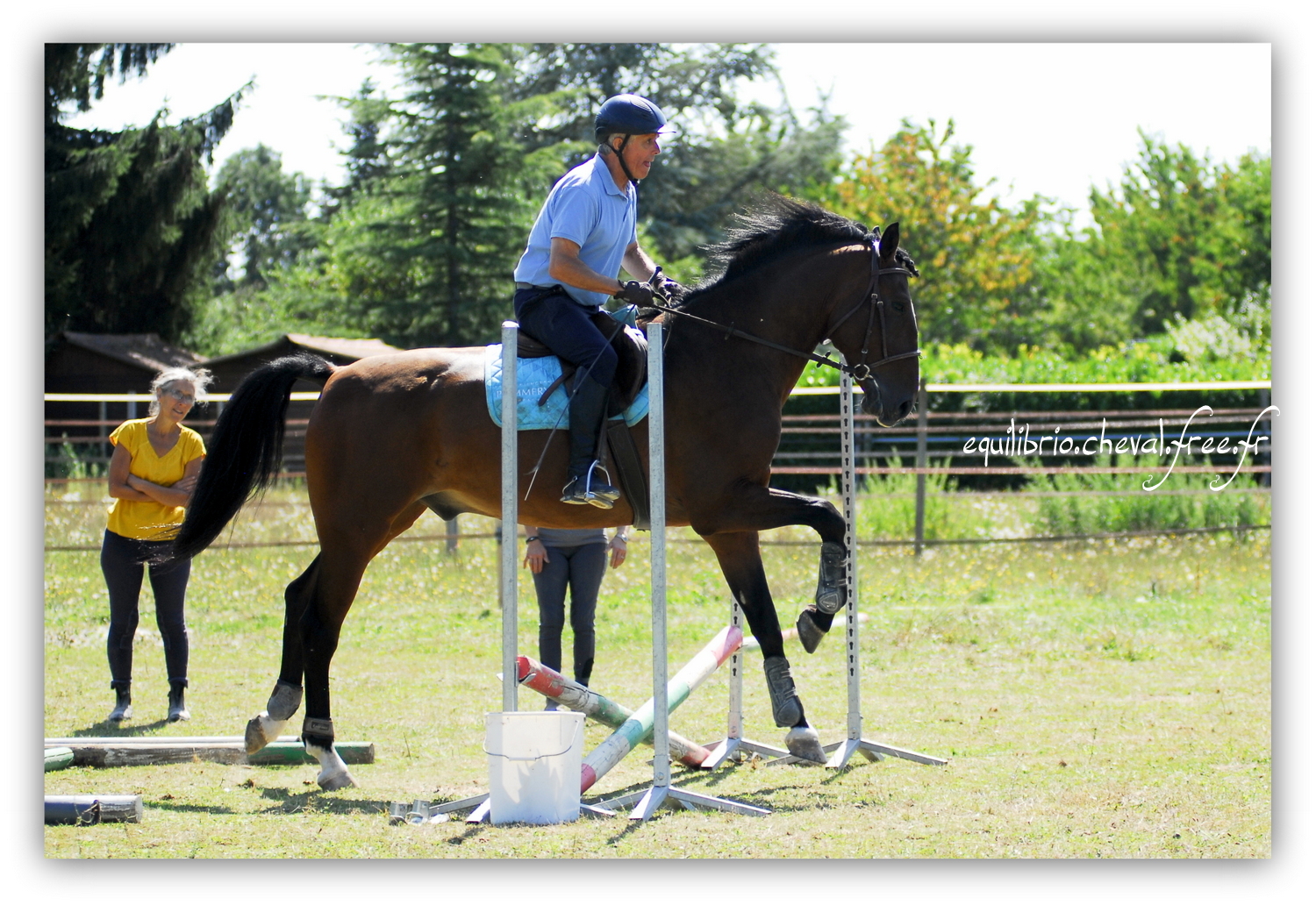 Equilibrio - septembre 2019- Stage barres au sol, cavalettis, obstacle avec Tammy weal - DON DIEGO DE MASSA, PSL et Roland