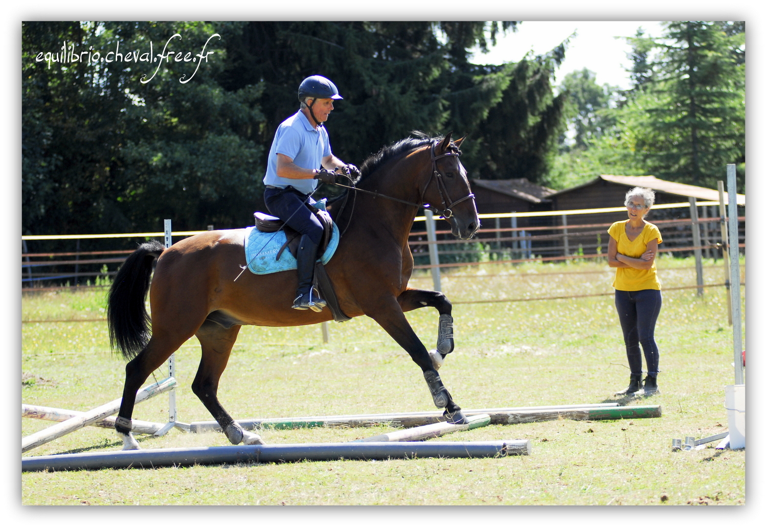 Equilibrio - septembre 2019- Stage barres au sol, cavalettis, obstacle avec Tammy weal - DON DIEGO DE MASSA, PSL et Roland