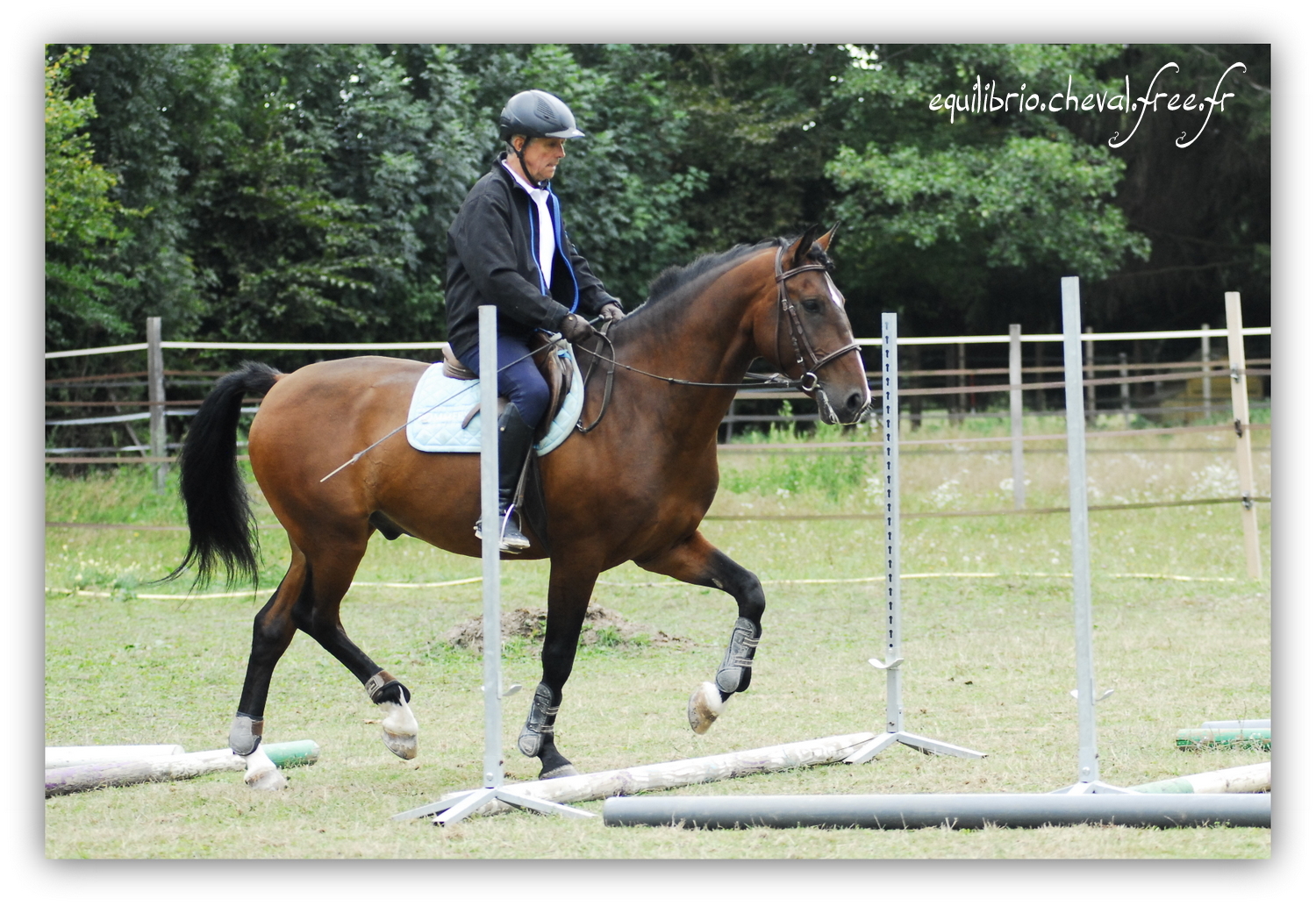 Equilibrio - septembre 2019- Stage barres au sol, cavalettis, obstacle avec Tammy weal - DON DIEGO DE MASSA, PSL et Roland
