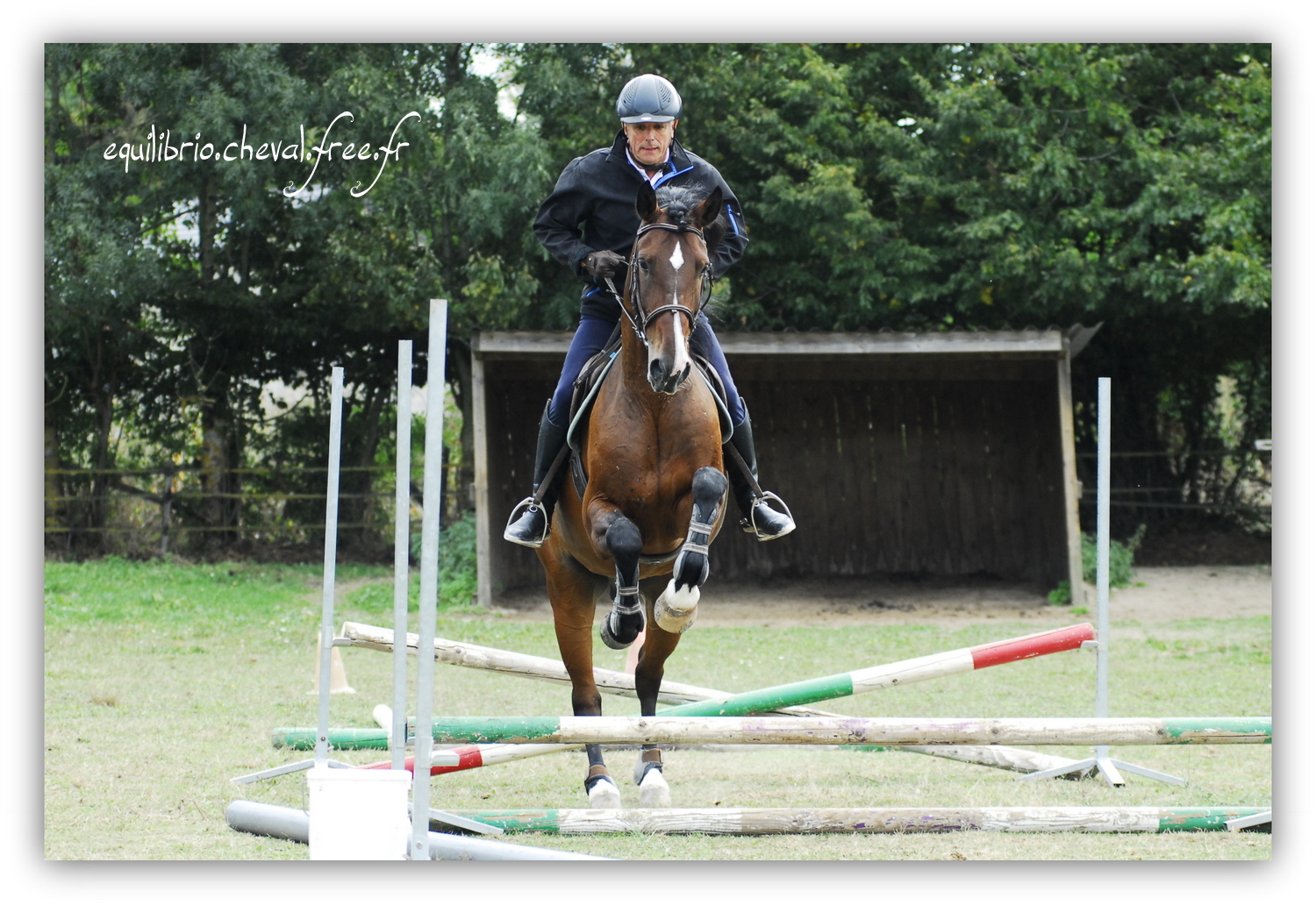 Equilibrio - septembre 2019- Stage barres au sol, cavalettis, obstacle avec Tammy weal - DON DIEGO DE MASSA, PSL et Roland