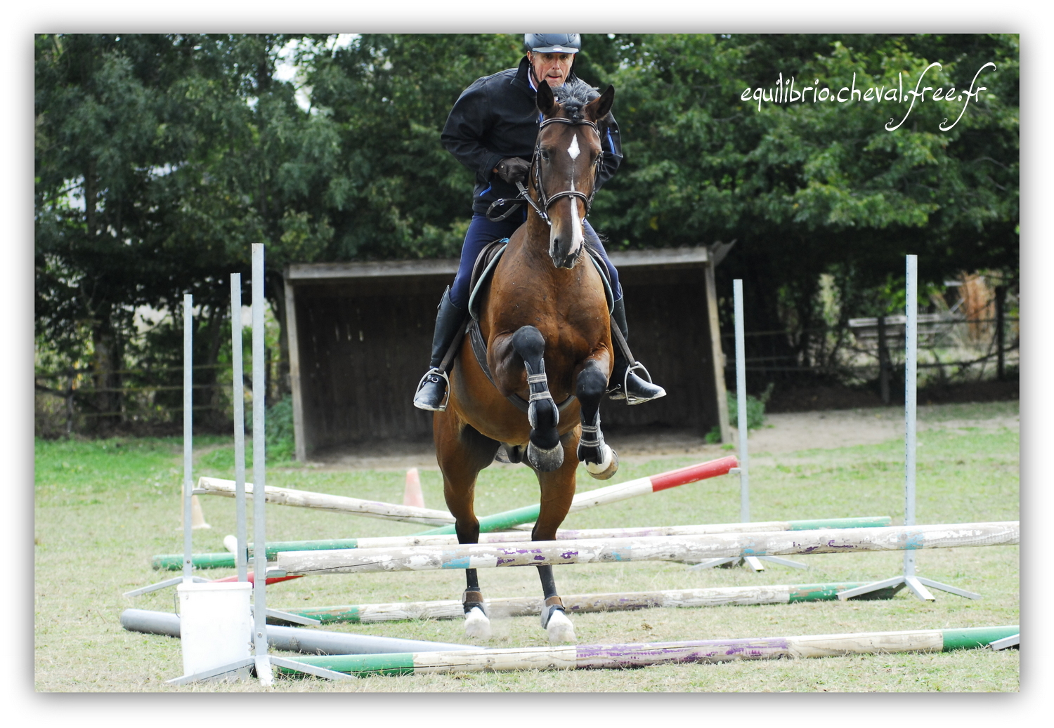 Equilibrio - septembre 2019- Stage barres au sol, cavalettis, obstacle avec Tammy weal - DON DIEGO DE MASSA, PSL et Roland