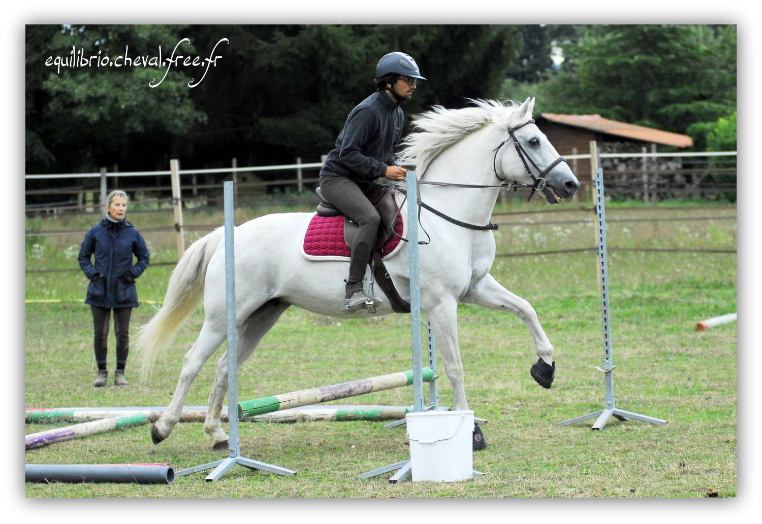 Equilibrio - septembre 2019- Stage barres au sol, cavalettis, obstacle avec Tammy weal - LAGILE DU FEYDEL, Connemara et Jules