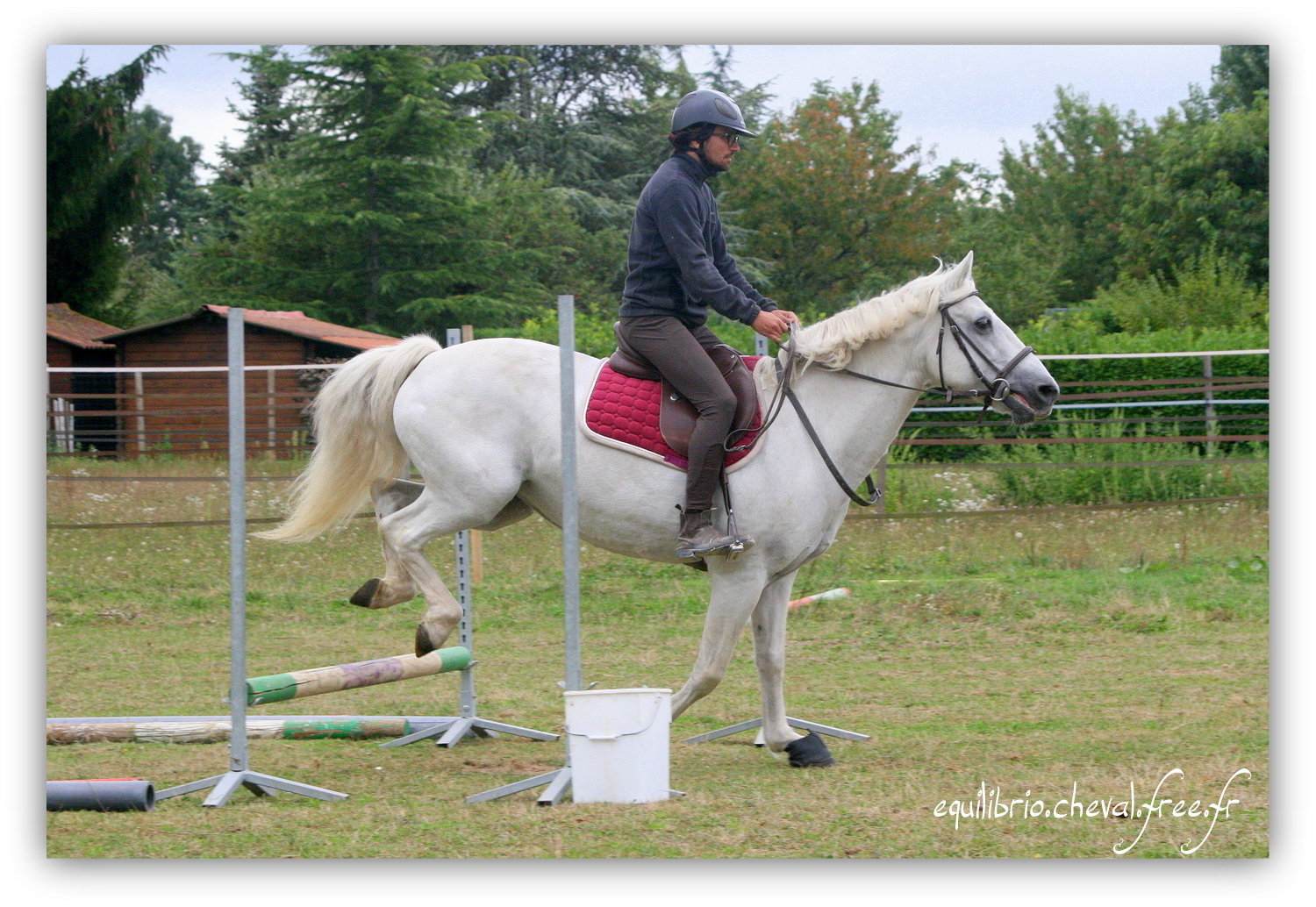 Equilibrio - septembre 2019- Stage barres au sol, cavalettis, obstacle avec Tammy weal - LAGILE DU FEYDEL, Connemara et Jules