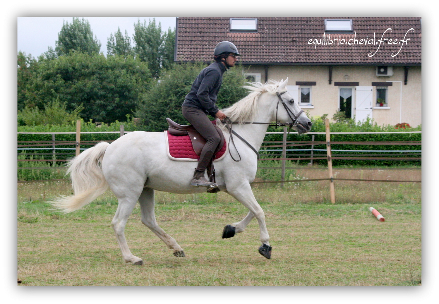 Equilibrio - septembre 2019- Stage barres au sol, cavalettis, obstacle avec Tammy weal - LAGILE DU FEYDEL, Connemara et Jules