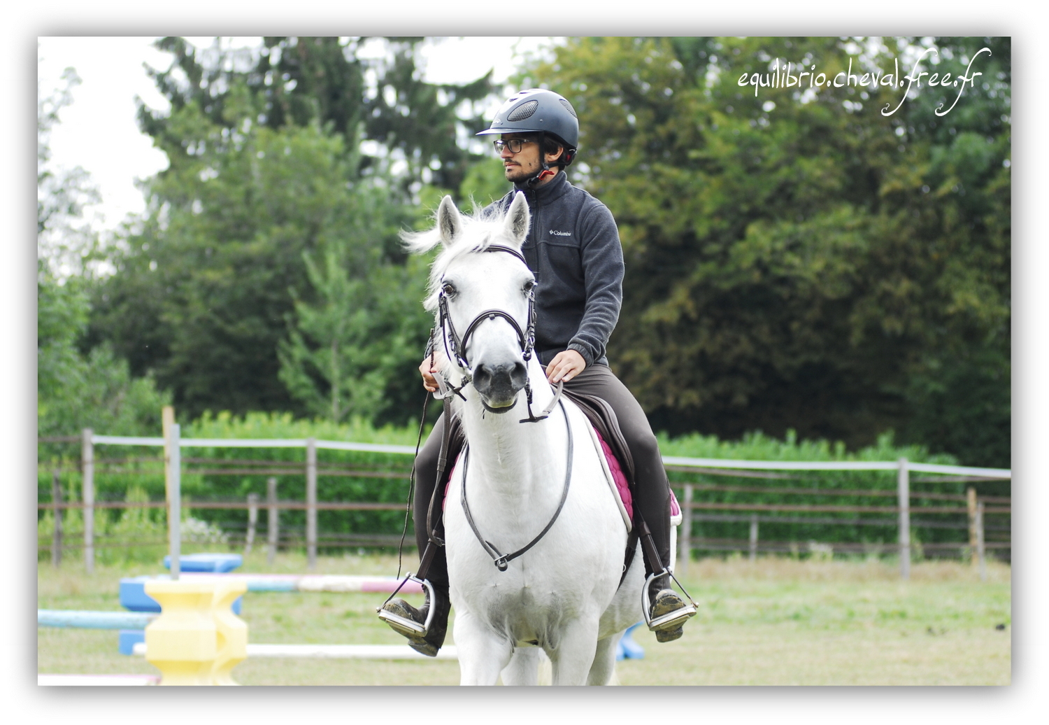 Equilibrio - septembre 2019- Stage barres au sol, cavalettis, obstacle avec Tammy weal - LAGILE DU FEYDEL, Connemara et Jules