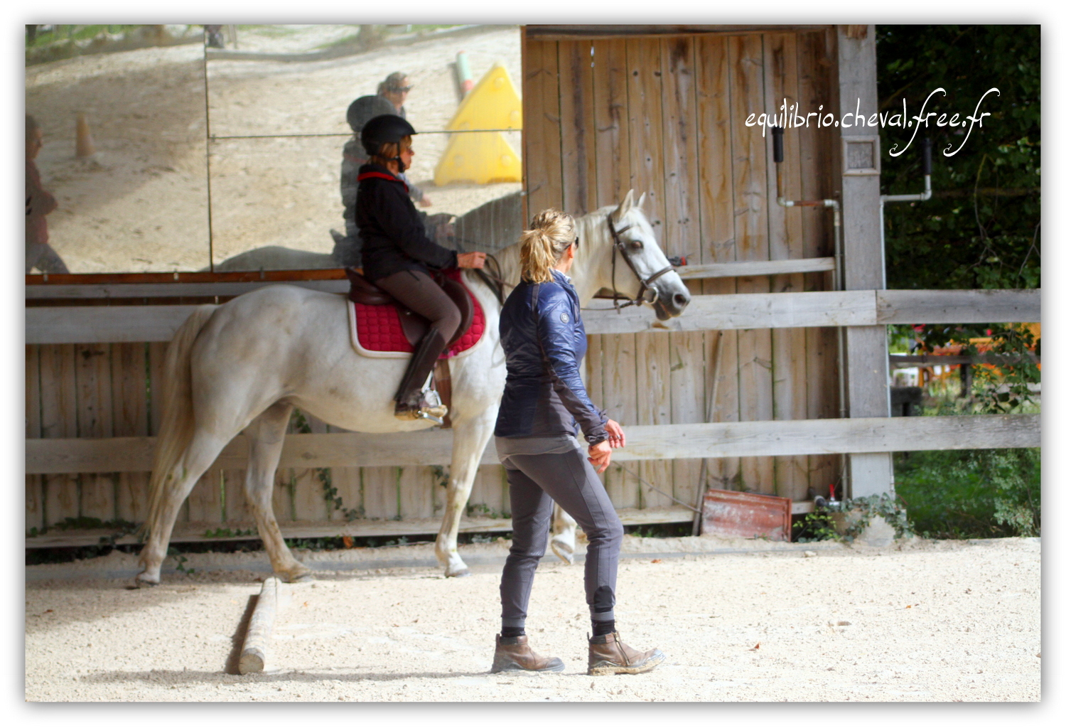Equilibrio - septembre 2019- Stage barres au sol, cavalettis, obstacle avec Tammy weal - LAGILE DU FEYDEL, Connemara et Ghislaine