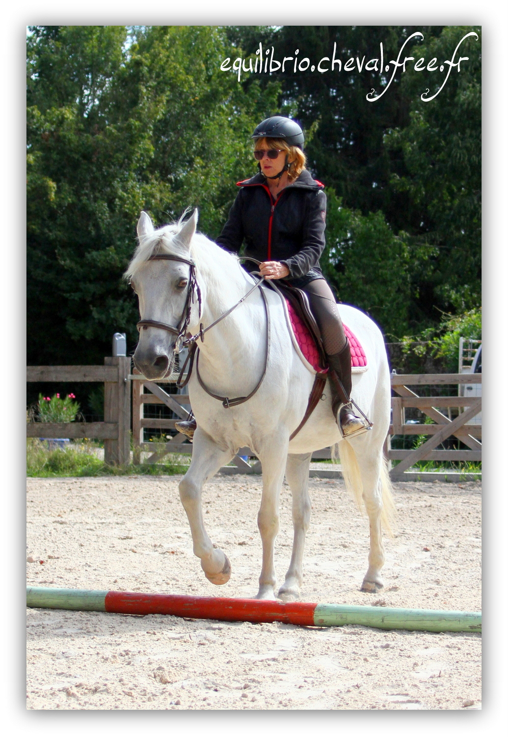 Equilibrio - septembre 2019- Stage barres au sol, cavalettis, obstacle avec Tammy weal - LAGILE DU FEYDEL, Connemara et Ghislaine