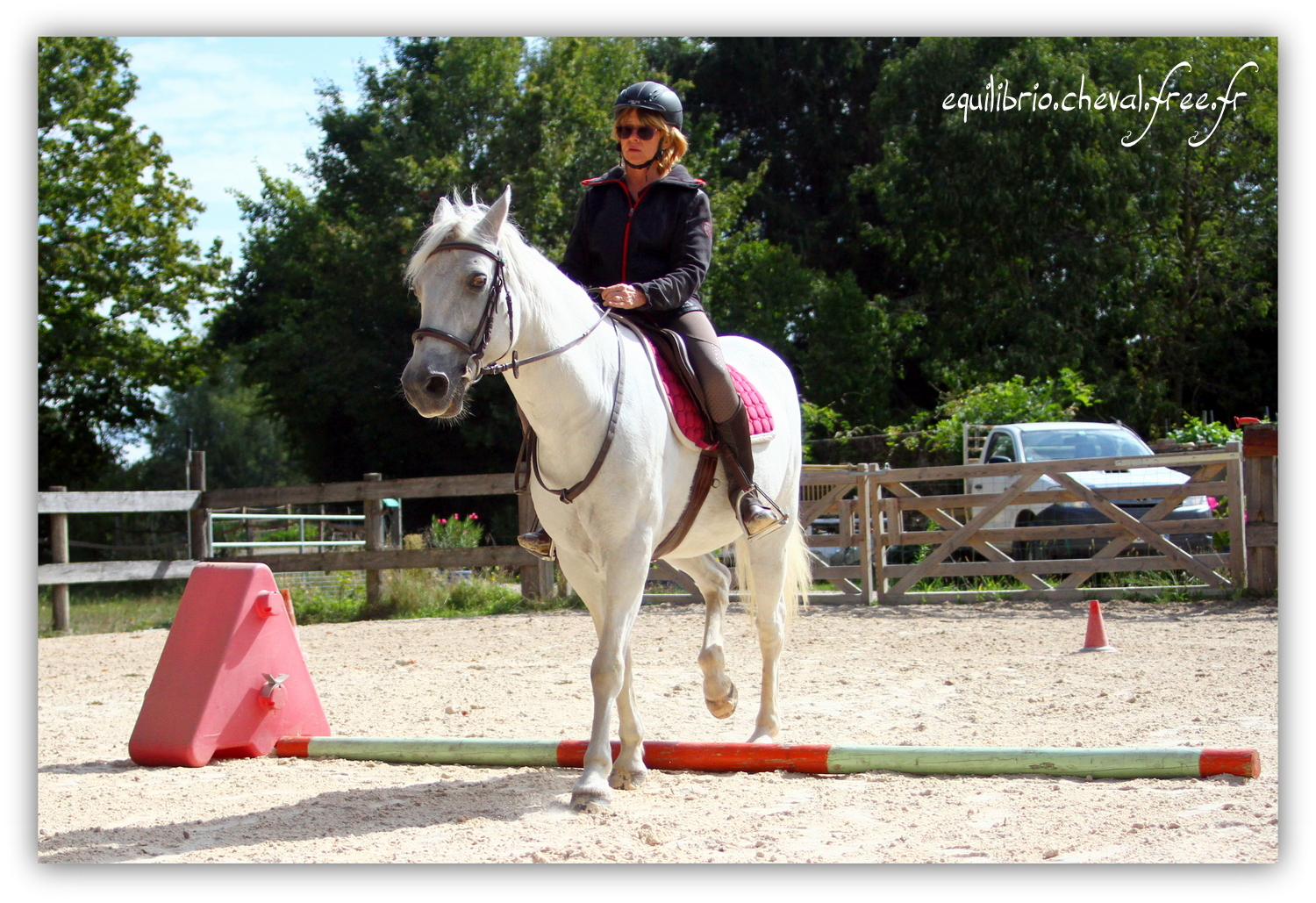 Equilibrio - septembre 2019- Stage barres au sol, cavalettis, obstacle avec Tammy weal - LAGILE DU FEYDEL, Connemara et Ghislaine