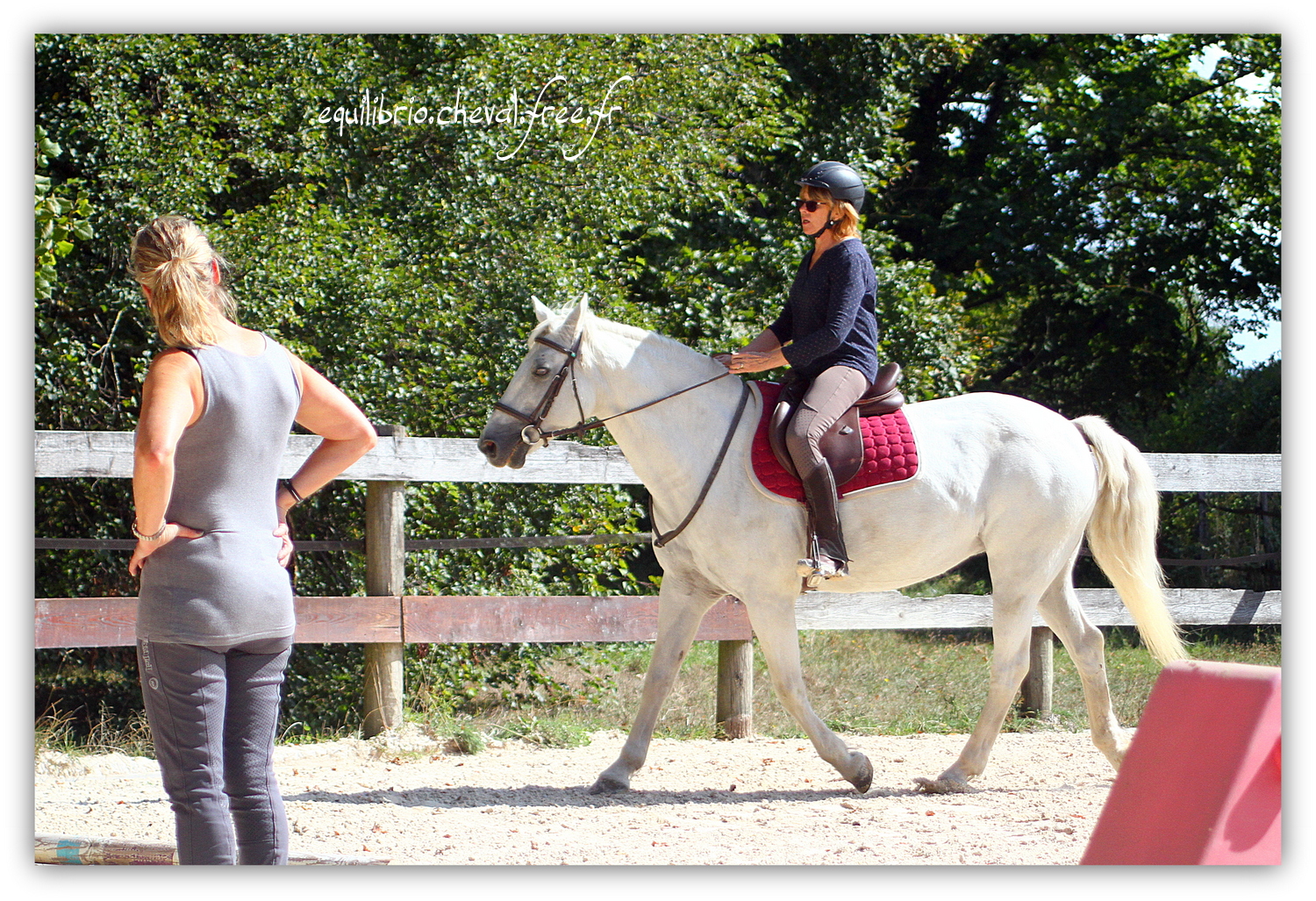 Equilibrio - septembre 2019- Stage barres au sol, cavalettis, obstacle avec Tammy weal - LAGILE DU FEYDEL, Connemara et Ghislaine