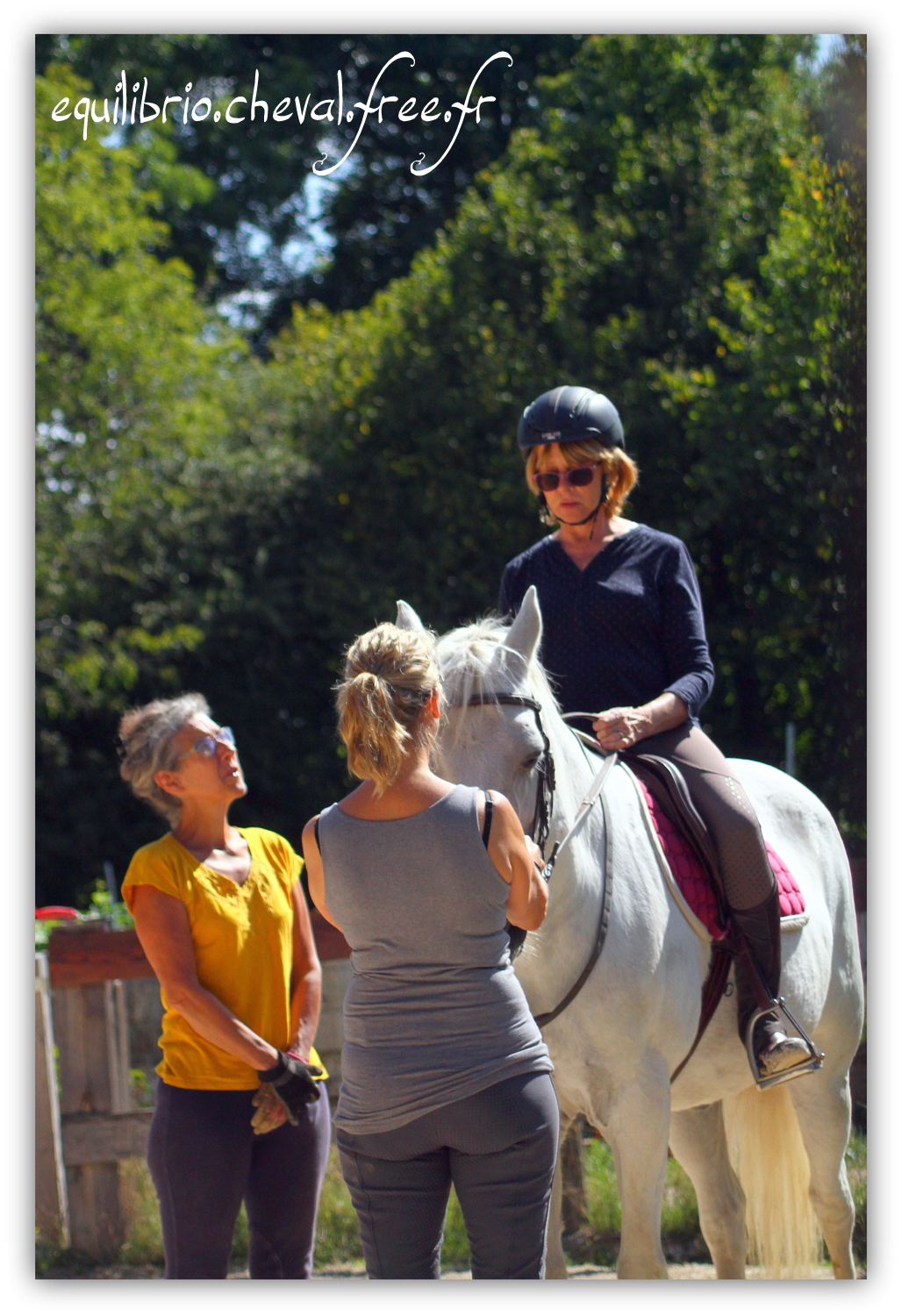 Equilibrio - septembre 2019- Stage barres au sol, cavalettis, obstacle avec Tammy weal - LAGILE DU FEYDEL, Connemara et Ghislaine