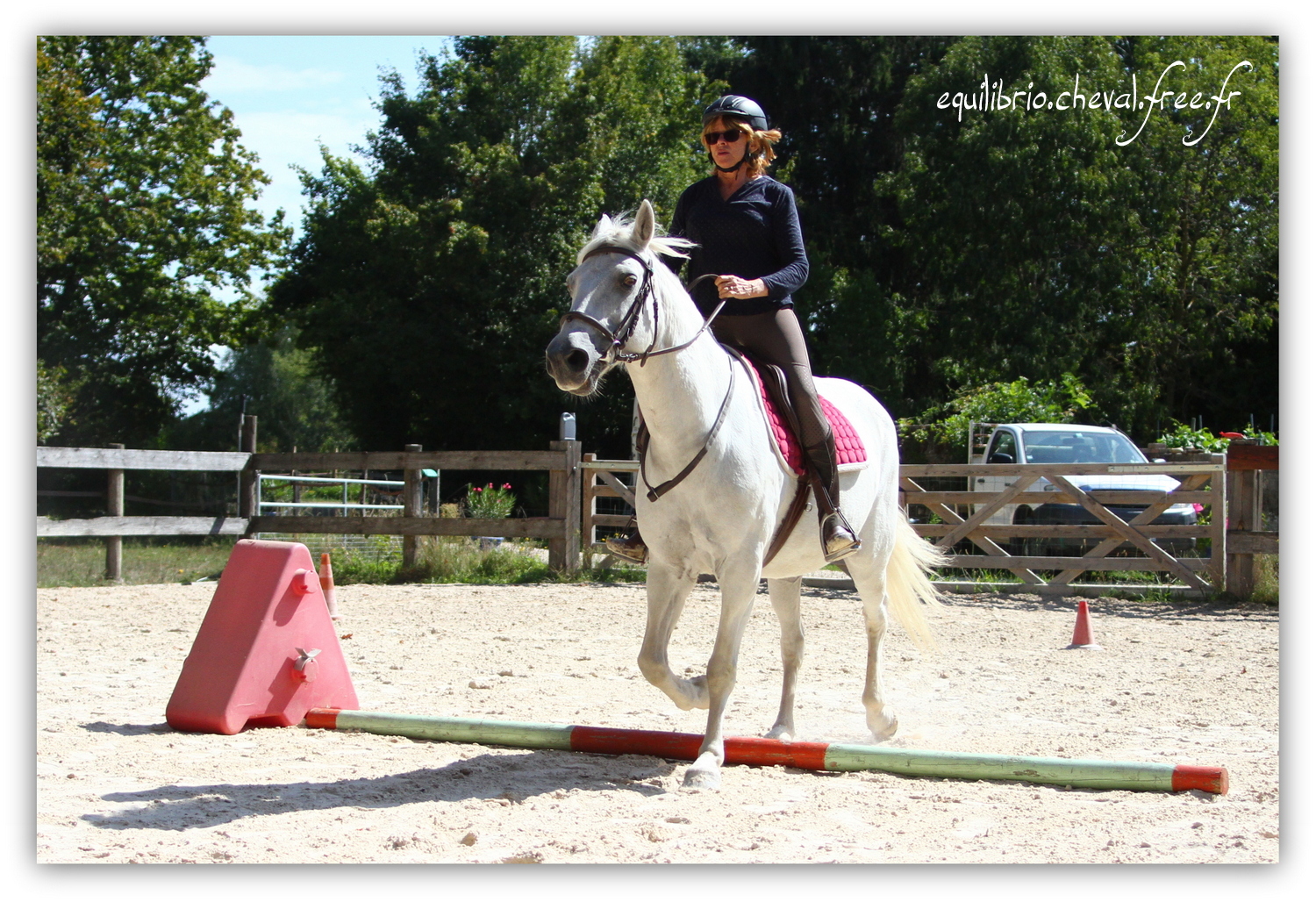 Equilibrio - septembre 2019- Stage barres au sol, cavalettis, obstacle avec Tammy weal - LAGILE DU FEYDEL, Connemara et Ghislaine