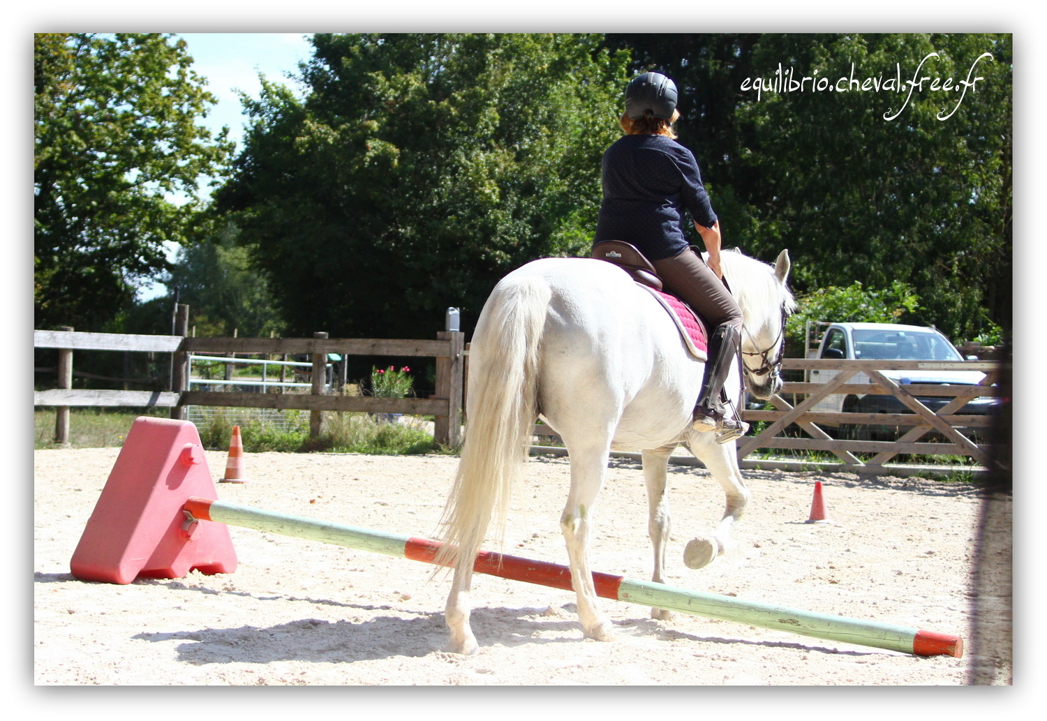 Equilibrio - septembre 2019- Stage barres au sol, cavalettis, obstacle avec Tammy weal - LAGILE DU FEYDEL, Connemara et Ghislaine