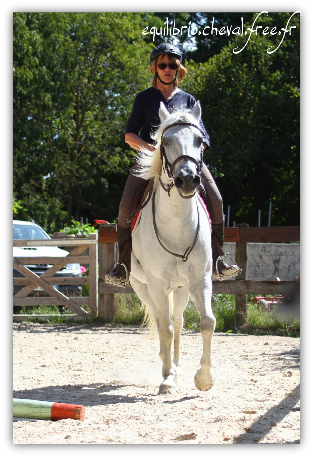 Equilibrio - septembre 2019- Stage barres au sol, cavalettis, obstacle avec Tammy weal - LAGILE DU FEYDEL, Connemara et Ghislaine