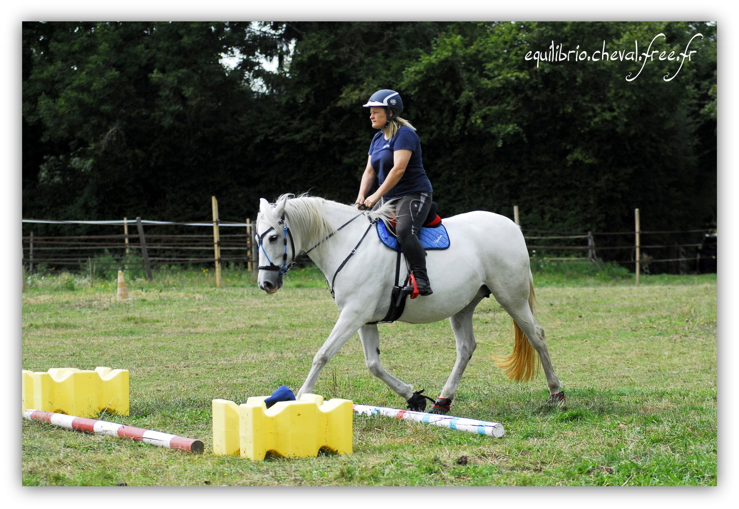 Equilibrio - septembre 2019- Stage barres au sol, cavalettis, obstacle avec Tammy weal - RAEFKA DEL KSAR - Crusado et Nat