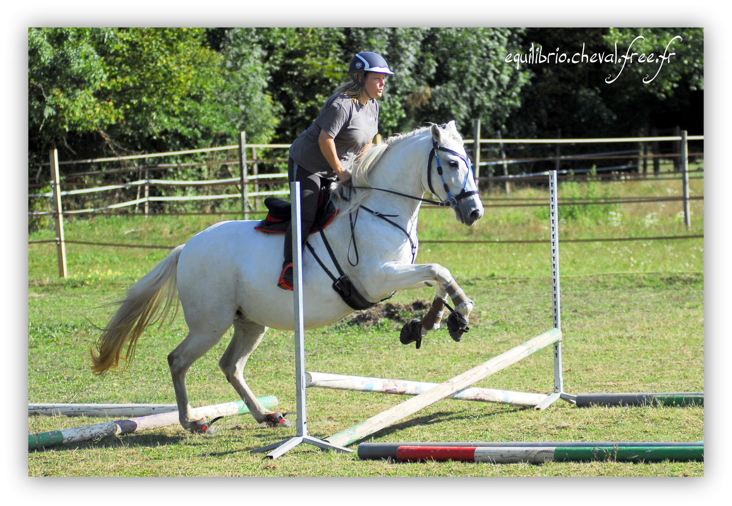 Equilibrio - septembre 2019- Stage barres au sol, cavalettis, obstacle avec Tammy weal - RAEFKA DEL KSAR - Crusado et Nat