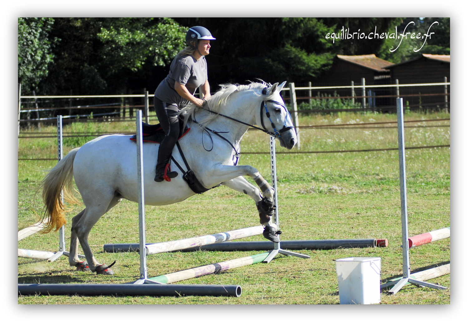 Equilibrio - septembre 2019- Stage barres au sol, cavalettis, obstacle avec Tammy weal - RAEFKA DEL KSAR - Crusado et Nat