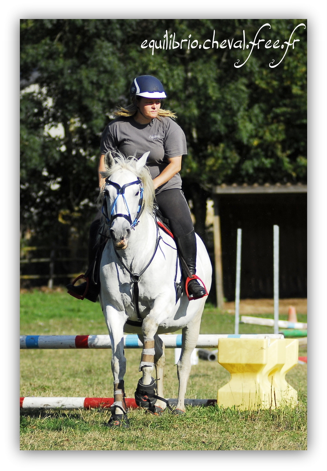 Equilibrio - septembre 2019- Stage barres au sol, cavalettis, obstacle avec Tammy weal - RAEFKA DEL KSAR - Crusado et Nat