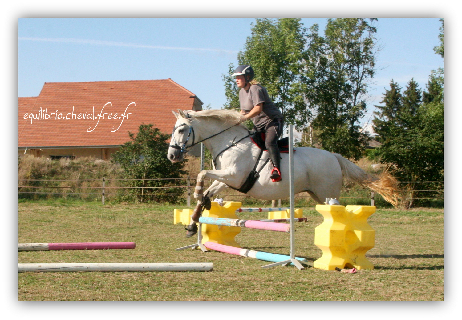 Equilibrio - septembre 2019- Stage barres au sol, cavalettis, obstacle avec Tammy weal - RAEFKA DEL KSAR - Crusado et Nat