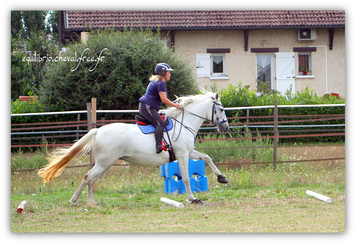 Equilibrio - septembre 2019- Stage barres au sol, cavalettis, obstacle avec Tammy weal - RAEFKA DEL KSAR - Crusado et Nat