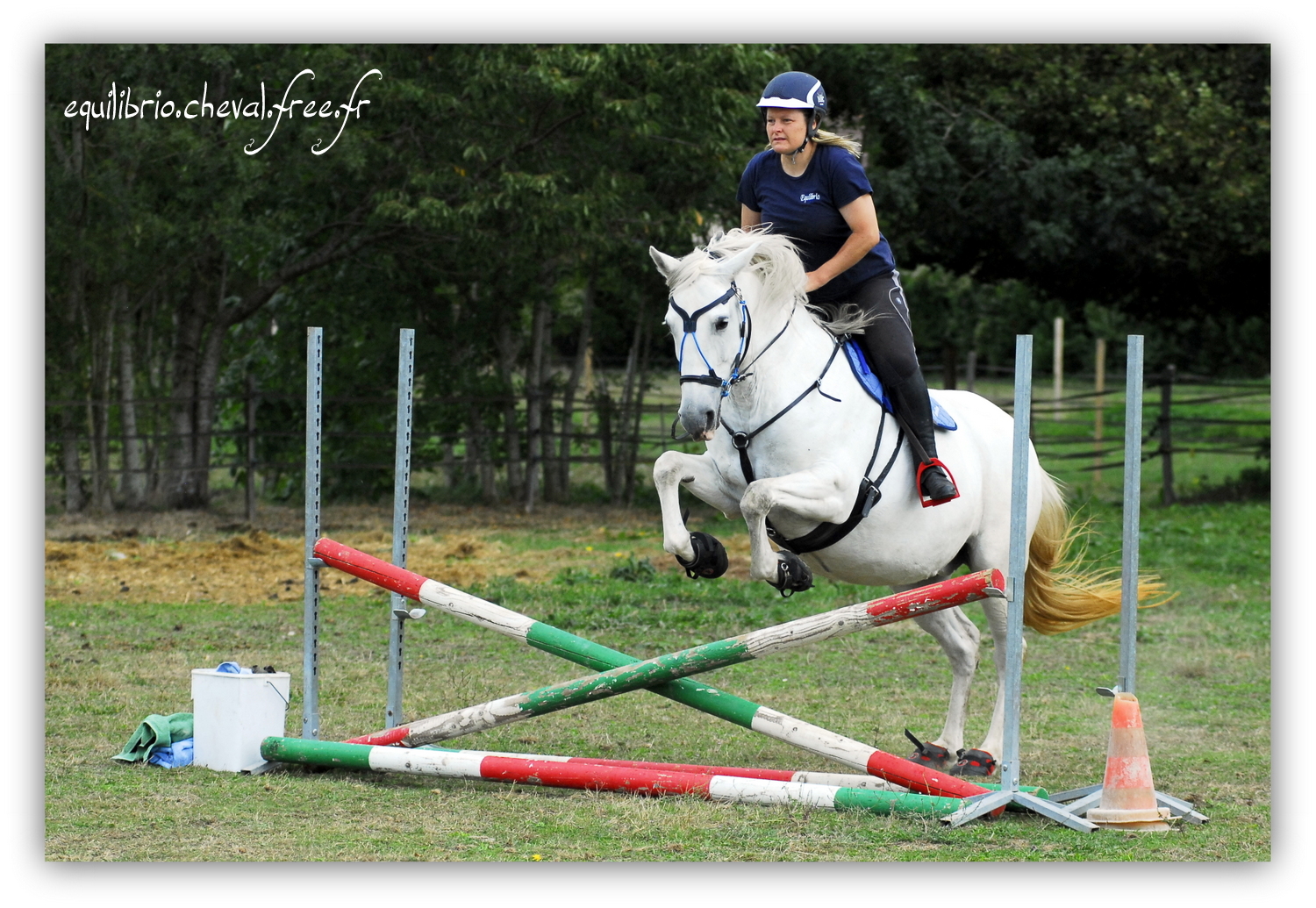 Equilibrio - septembre 2019- Stage barres au sol, cavalettis, obstacle avec Tammy weal - RAEFKA DEL KSAR - Crusado et Nat
