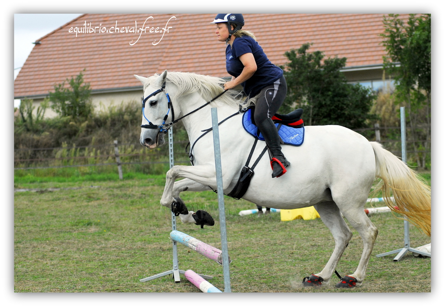 Equilibrio - septembre 2019- Stage barres au sol, cavalettis, obstacle avec Tammy weal - RAEFKA DEL KSAR - Crusado et Nat