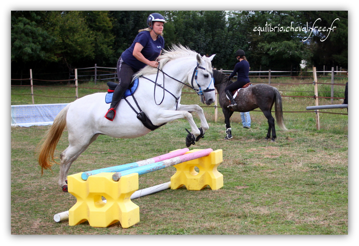 Equilibrio - septembre 2019- Stage barres au sol, cavalettis, obstacle avec Tammy weal - RAEFKA DEL KSAR - Crusado et Nat