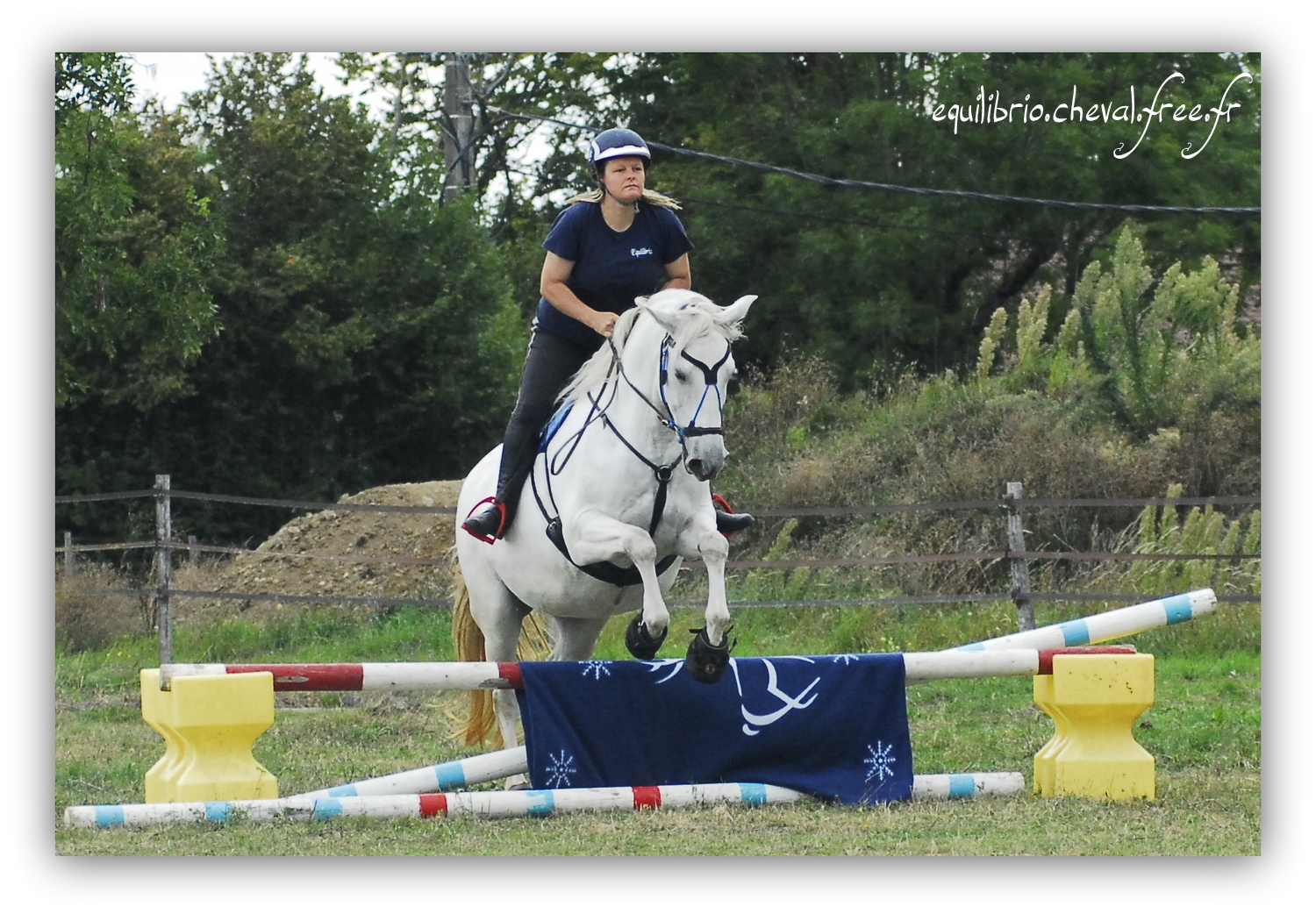 Equilibrio - septembre 2019- Stage barres au sol, cavalettis, obstacle avec Tammy weal - RAEFKA DEL KSAR - Crusado et Nat