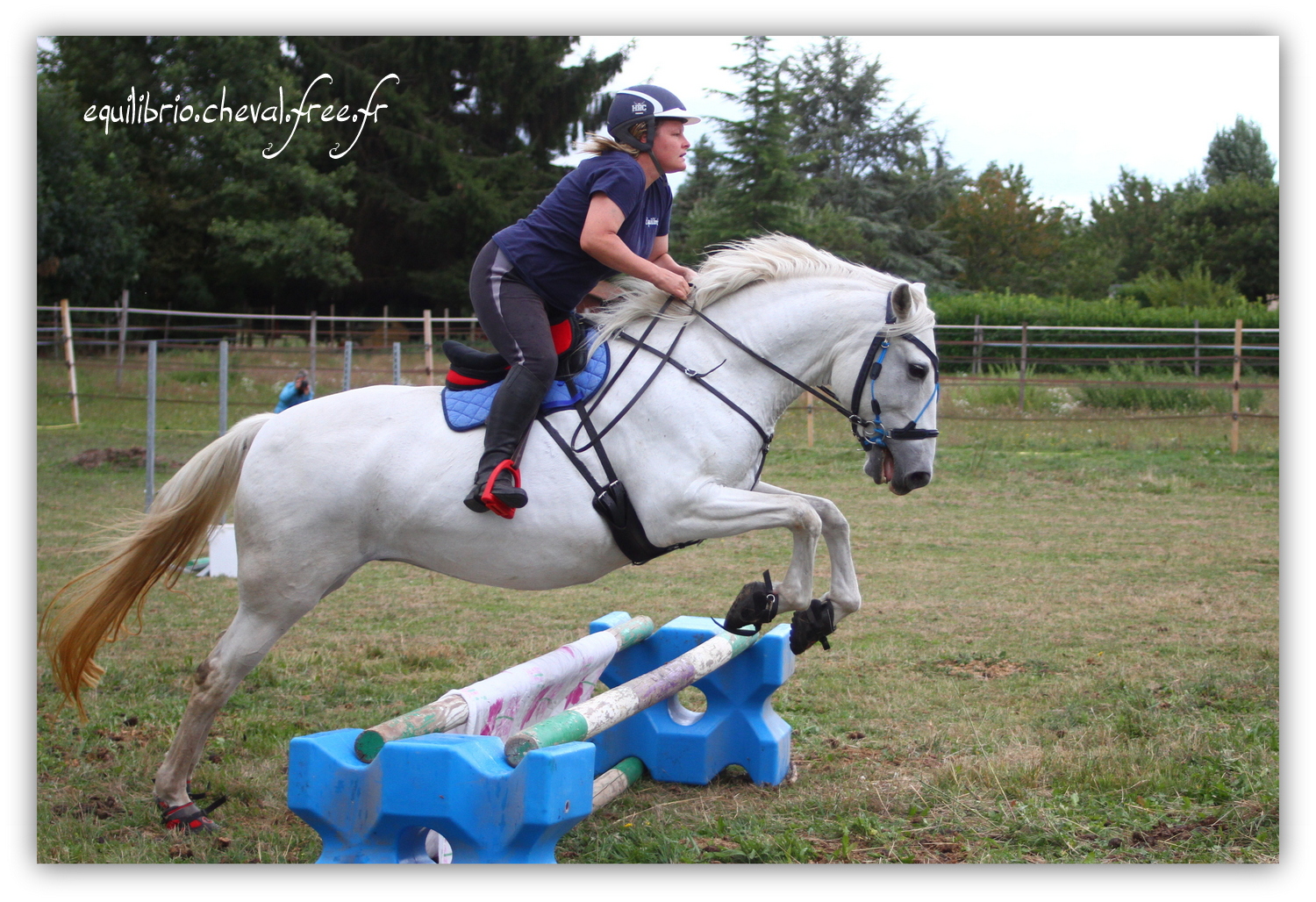 Equilibrio - septembre 2019- Stage barres au sol, cavalettis, obstacle avec Tammy weal - RAEFKA DEL KSAR - Crusado et Nat