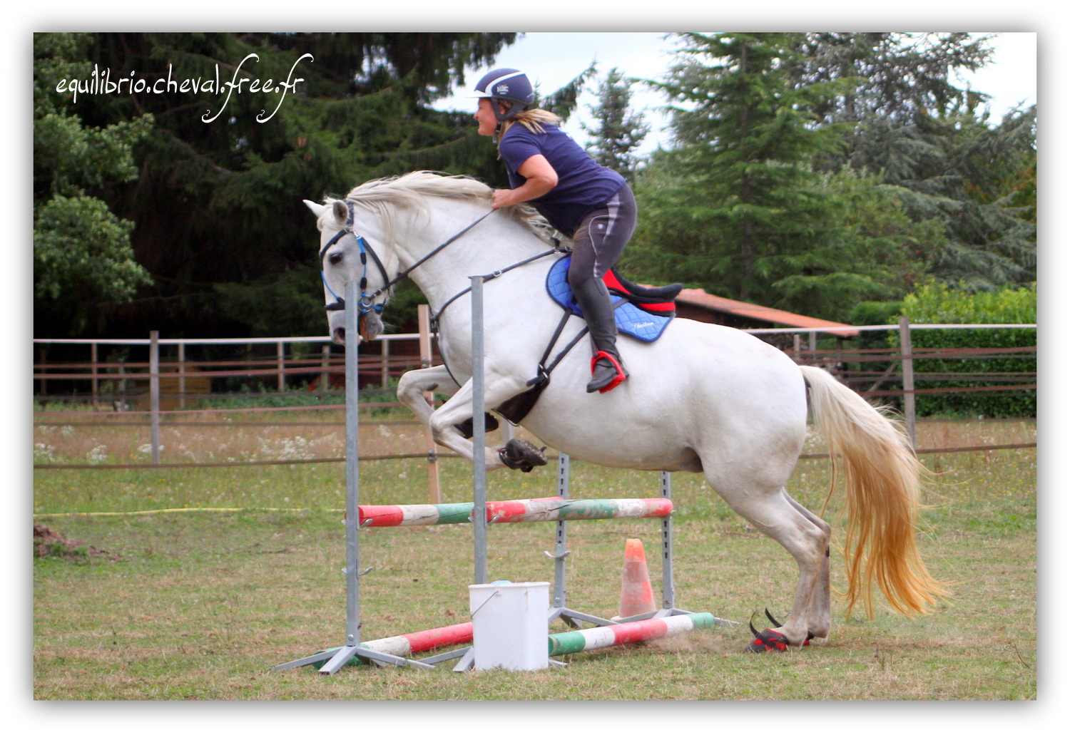 Equilibrio - septembre 2019- Stage barres au sol, cavalettis, obstacle avec Tammy weal - RAEFKA DEL KSAR - Crusado et Nat