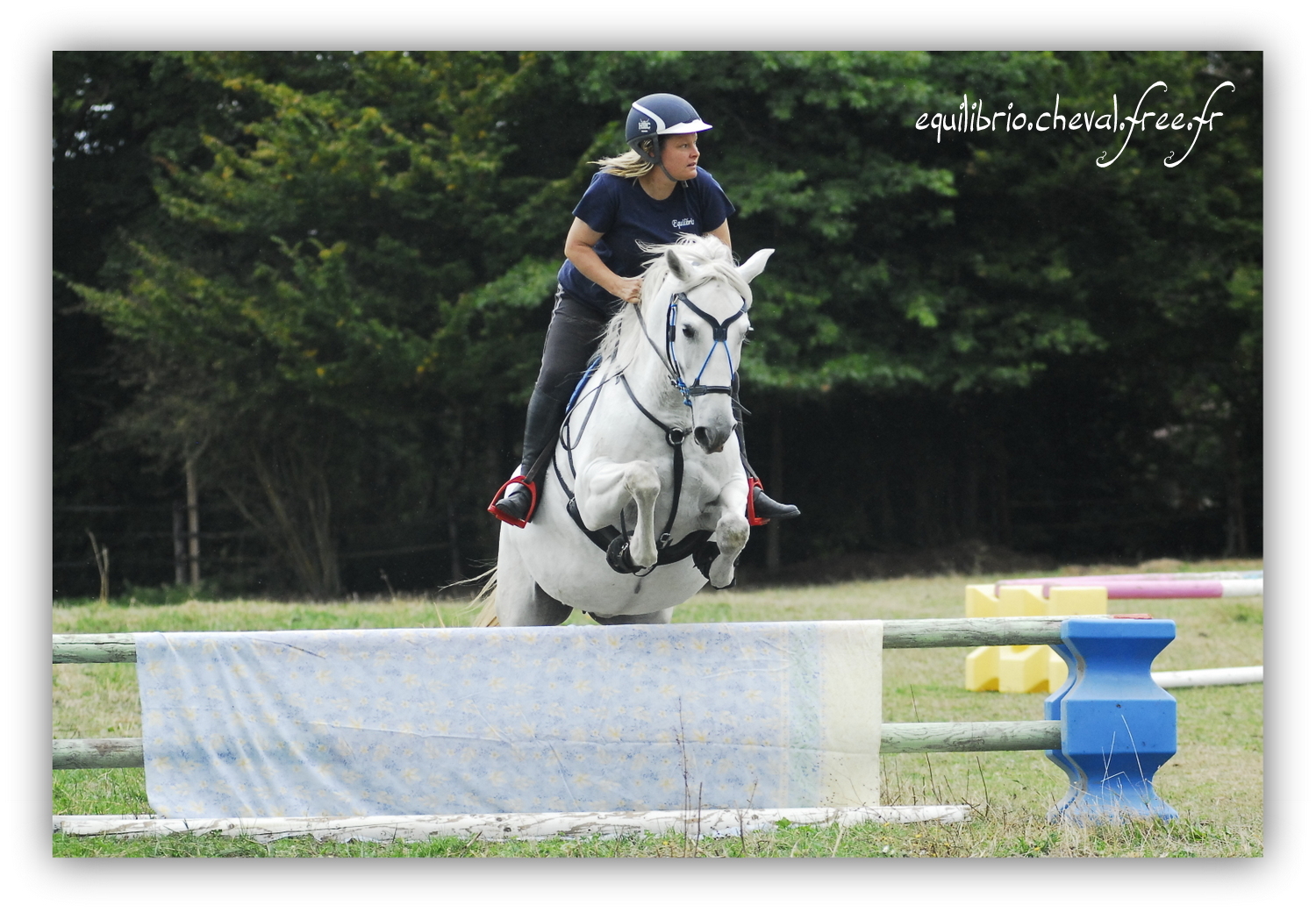 Equilibrio - septembre 2019- Stage barres au sol, cavalettis, obstacle avec Tammy weal - RAEFKA DEL KSAR - Crusado et Nat