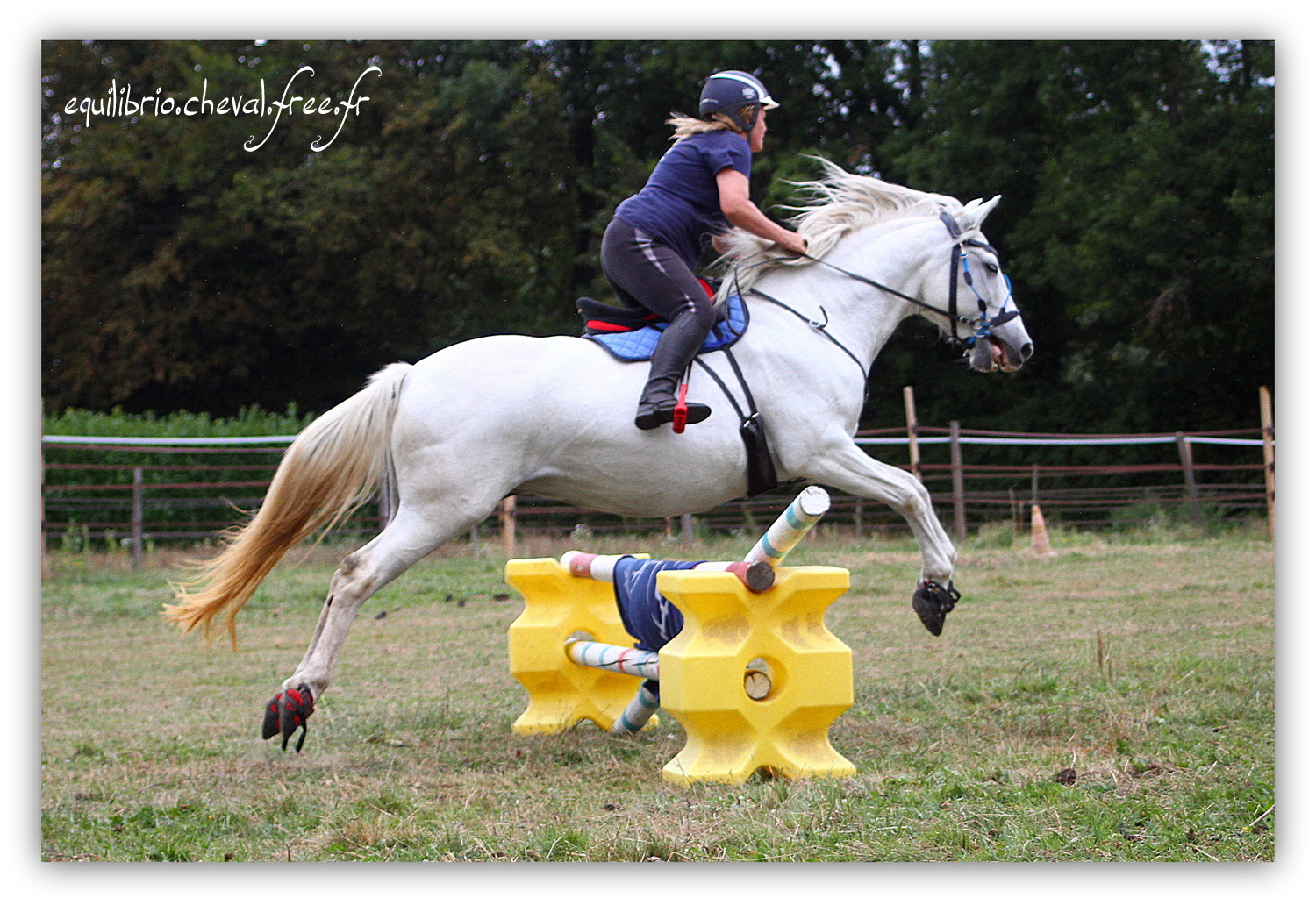 Equilibrio - septembre 2019- Stage barres au sol, cavalettis, obstacle avec Tammy weal - RAEFKA DEL KSAR - Crusado et Nat
