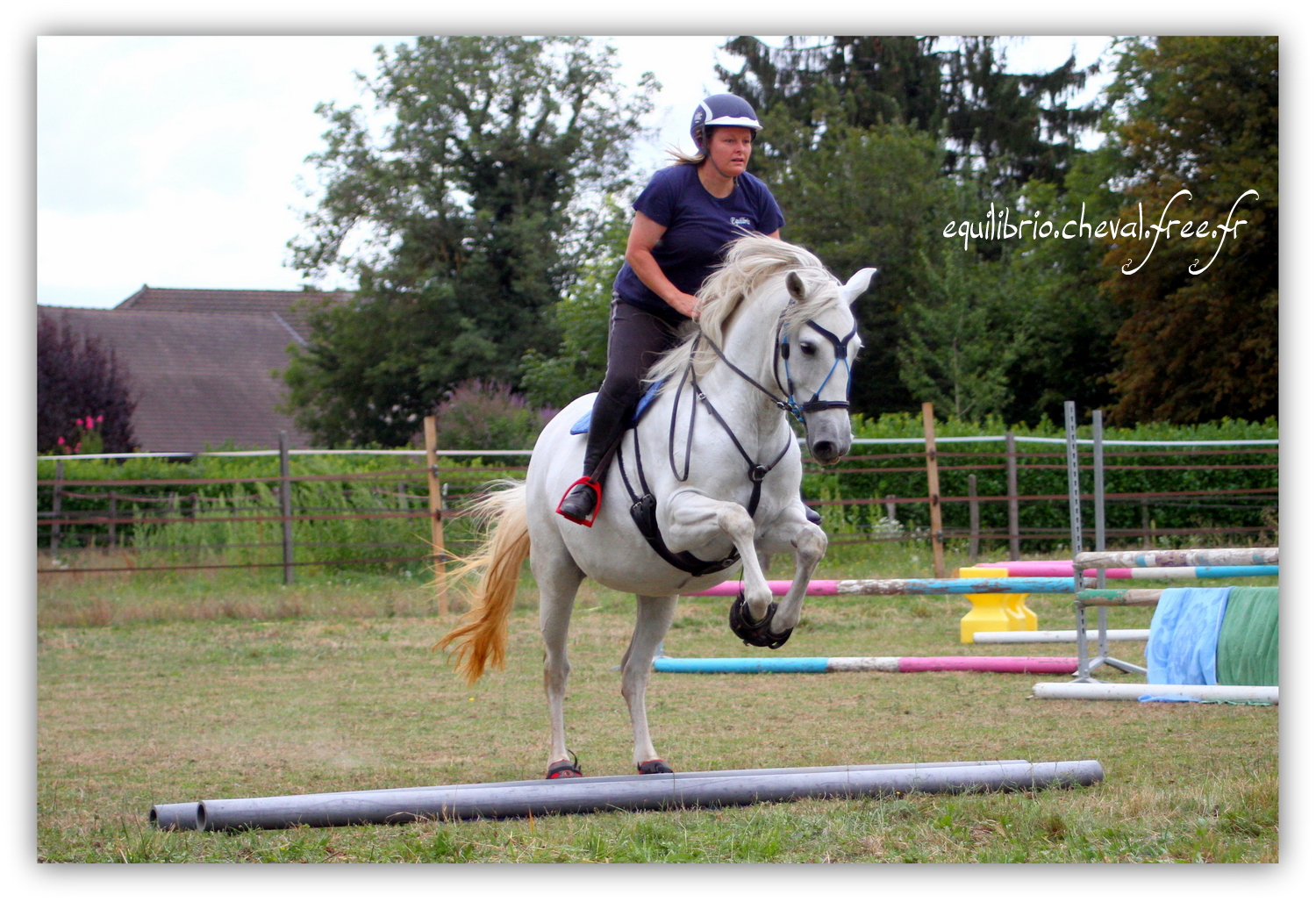 Equilibrio - septembre 2019- Stage barres au sol, cavalettis, obstacle avec Tammy weal - RAEFKA DEL KSAR - Crusado et Nat