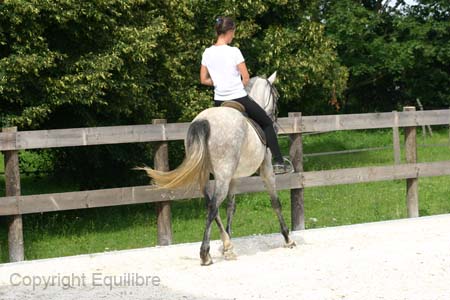 BAruska stage Dany juin 2007- (31)