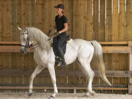 Ideval stage Dany juin 2007- (20)
