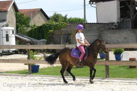 Millie piaffer stage Dany juin 2007- (48)