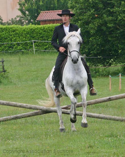 ChicoEqPort2007 (19)