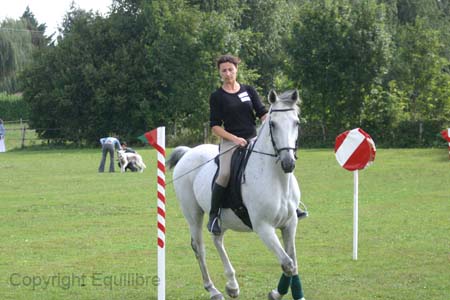 27FlorenceStrategistequitrec227