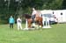 13ReneEloequitrec136