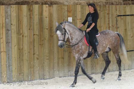 Cottoro Violaine (23)