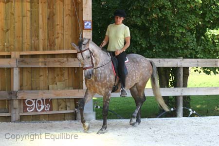 Cottoro Violaine (5)