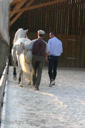 RecuerdoSergio0907 (48)